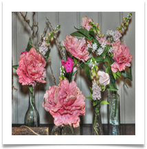Flowers DSC_0013 cropped - Carol Sparkes